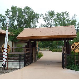 Rare Rhinos of Africa - Rhino Crossing
