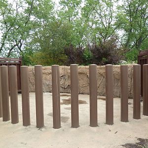 Rare Rhinos of Africa