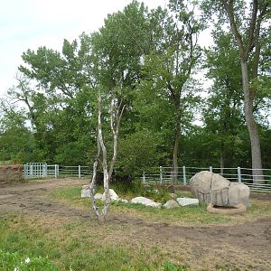 Rare Rhinos of Africa