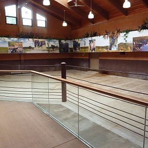 Rare Rhinos of Africa