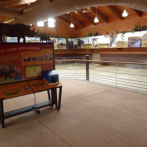 Rare Rhinos of Africa