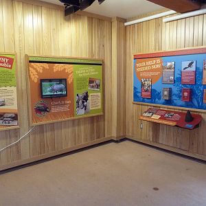 Rare Rhinos of Africa