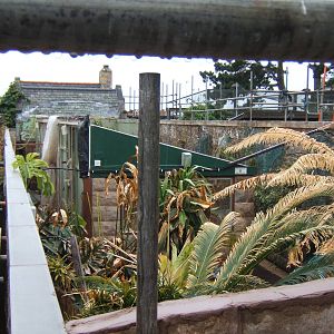 View of roofless Reptile House