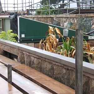 View of roofless Reptile House