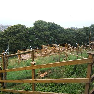 View of walk-through Lemur enclosure