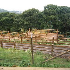 View of walk-through Lemur enclosure