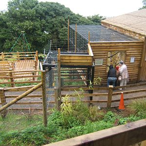 View of walk-through Lemur enclosure