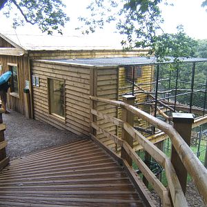 View of walk-through Lemur enclosure