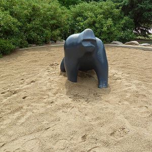 Sub-Saharan Sand Gorilla