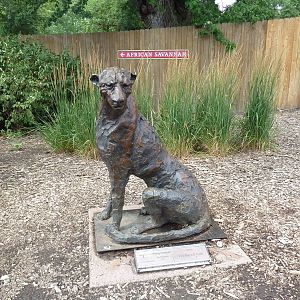 Africa - Cheetah Statue