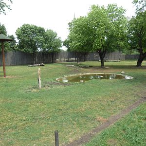 Reticulated Giraffe/Crowned Crane/Grevy's Zebra Exhibit
