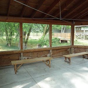 Cheetah Exhibit - Viewing Area