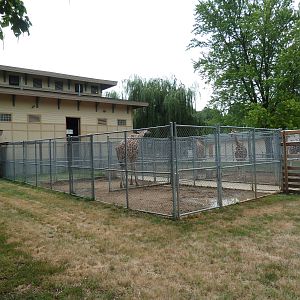Reticulated Giraffe Barn + Holding Yards