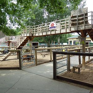 Barnyard - Goat Bridge