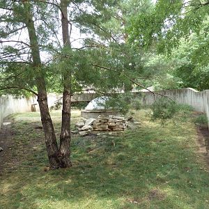 Leopard Tortoise + Desert Tortoise Exhibit