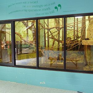 Squirrel Monkey Exhibit