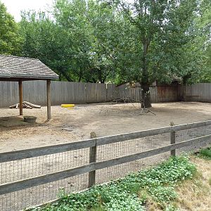 Reindeer Exhibit