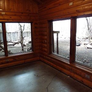 Yellow-Footed Rock Wallaby Exhibit