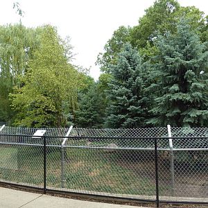 American Black Bear Exhibit