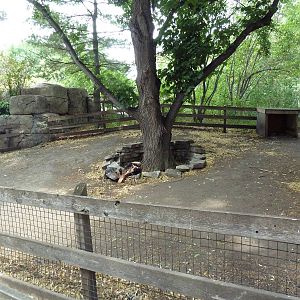 Wild Turkey Exhibit