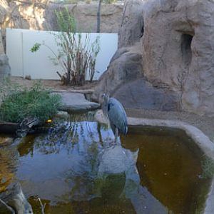 Summer Saturday Nights - Aug 18, 2012