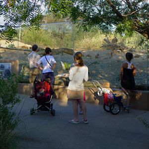 Summer Saturday Nights - Aug 18, 2012