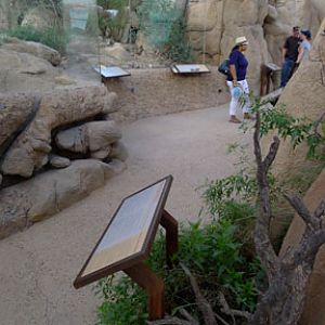 Summer Saturday Nights - Aug 18, 2012