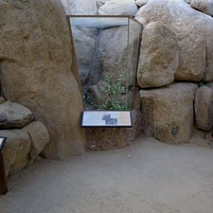 Summer Saturday Nights - Aug 18, 2012