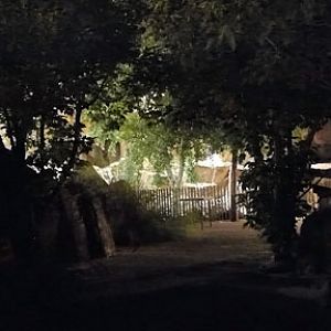 Summer Saturday Nights - Aug 18, 2012