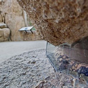 Summer Saturday Nights - Aug 18, 2012