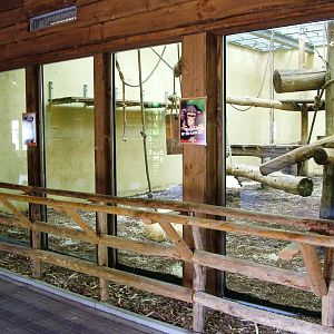 Indoor Chimp Exhibit at Beekse Bergen, 31/05/12