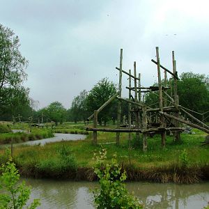 Chimp Island at Beekse Bergen, 31/05/12