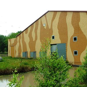 Chimp House at Beekse Bergen, 31/05/12