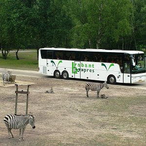 African Paddock at Beekse Bergen, 31/05/12