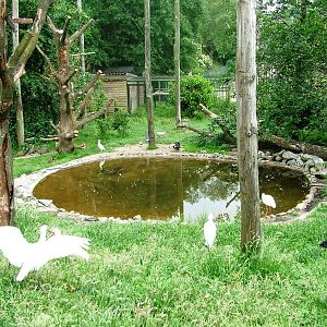 African Aviary at Beekse Bergen, 31/05/12