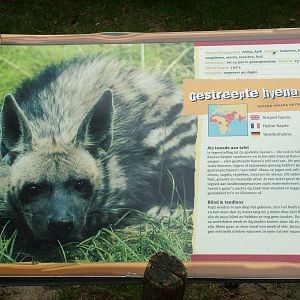 Signage Example at Beekse Bergen, 31/05/12