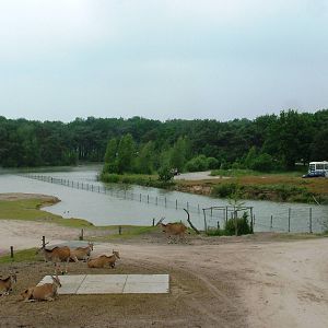 How the Trick is Done at Beekse Bergen, 31/05/12