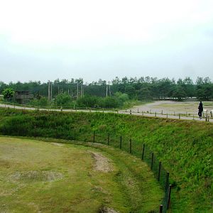 Savannah Walkway at Beekse Bergen, 31/05/12