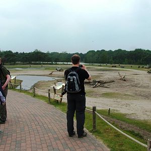 Savannah Walkway at Beekse Bergen, 31/05/12