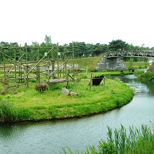Chimp Island at Beekse Bergen, 31/05/12