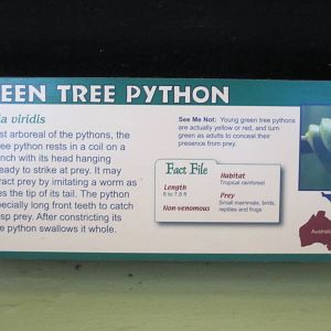 Aug. 2012-Python sign