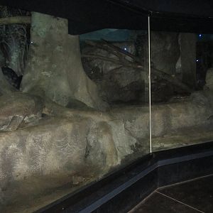 Aug. 2012-Bearcat exhibit