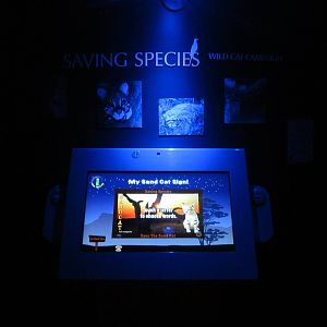 Aug. 2012-Make a Small Cat sign area