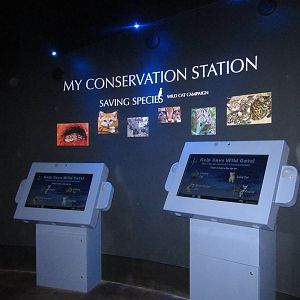 Aug. 2012-My Conservation Station area