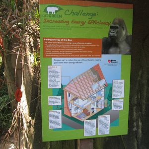 Aug. 2012-Gorilla World sign