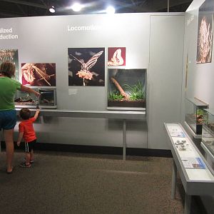 Aug. 2012-Success of the Insect section