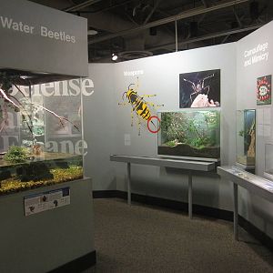 Aug. 2012-Defense and Escape section