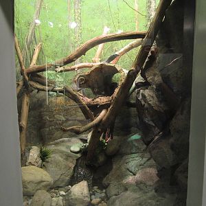 Aug. 2012-Black Tree Monitor exhibit