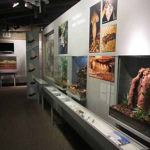 Aug. 2012-Insect Lifestyles section (1)