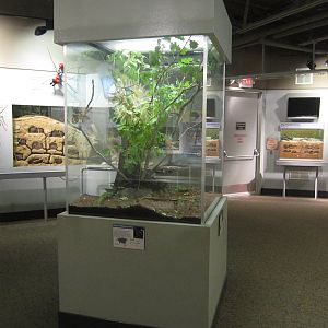 Aug. 2012-Insect Lifestyles section (2)